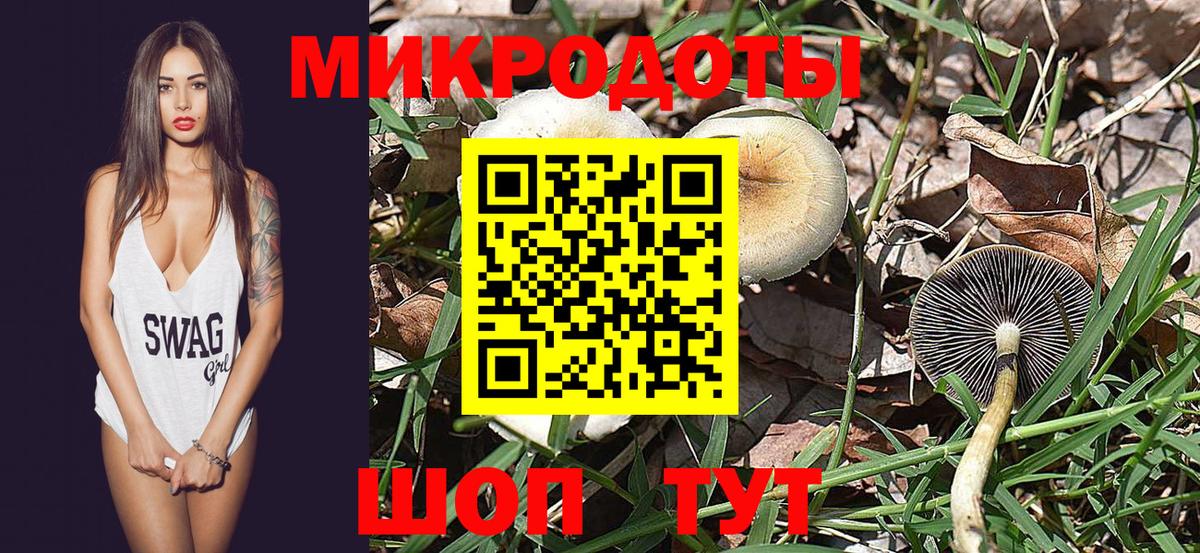 Галлюциногенные грибы MAGIC MUSHROOMS Грозный